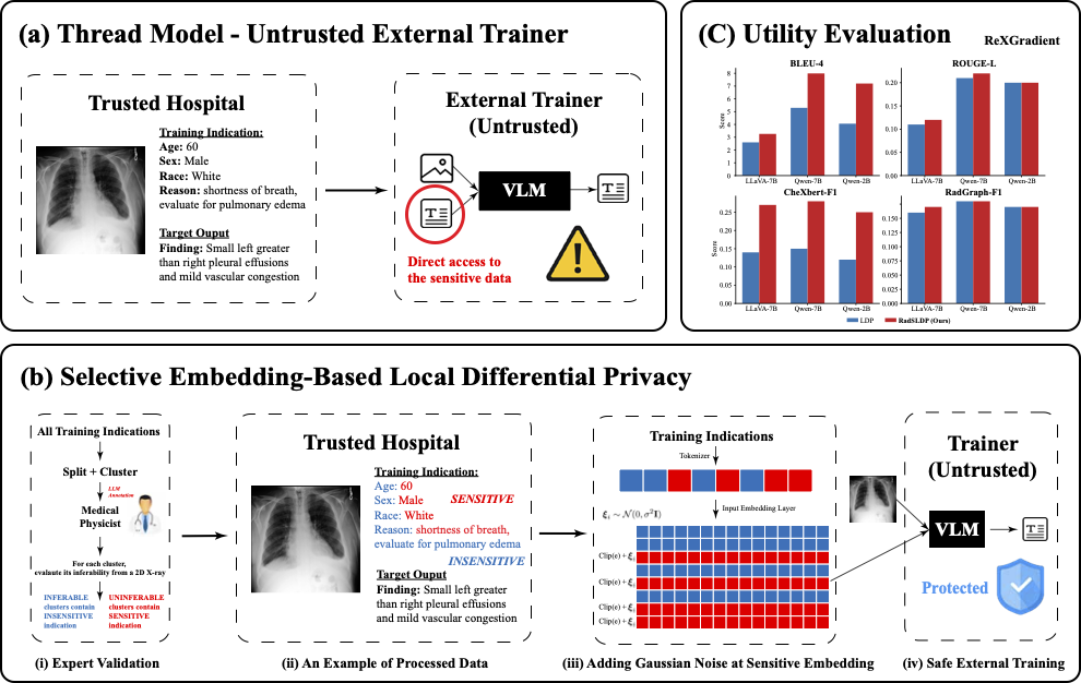 RadSLDP: Selective Local Differential Privacy for Radiology Vision-Language Models